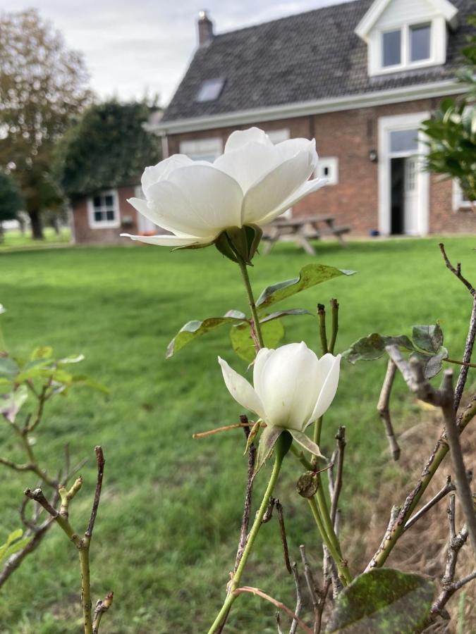 Landhuis 'De Ontspanning' Villa Axel Exteriör bild