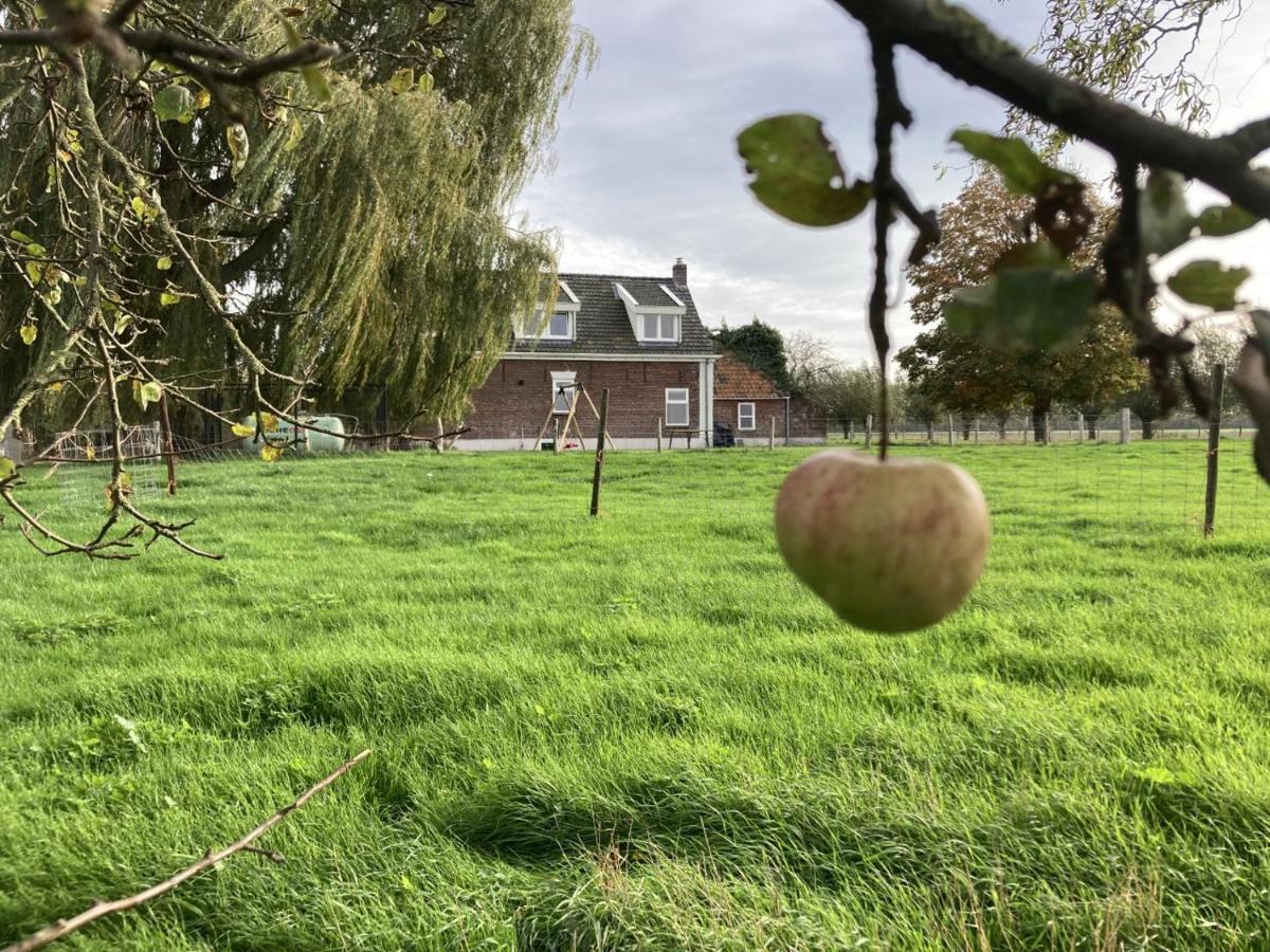 Landhuis 'De Ontspanning' Villa Axel Exteriör bild